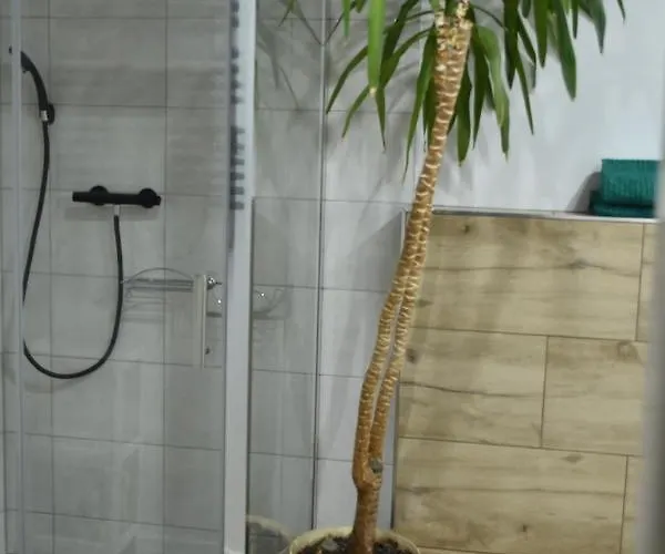 Апартаменты Centrum Поляница-Здруй